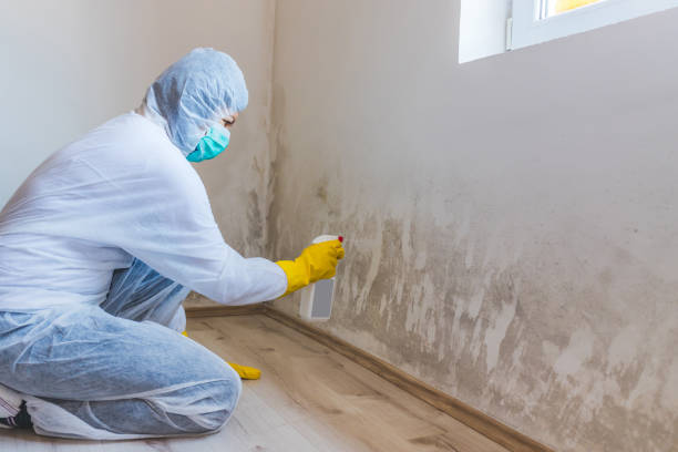 Crawl Space Mold Remediation treatment of floor joists in Deer Park