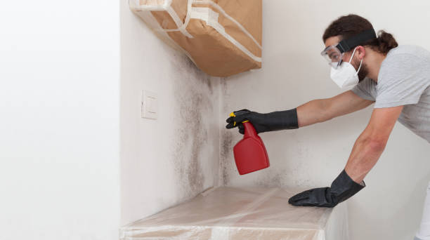 Attic Mold Remediation treatment on roof deck in Deer Park